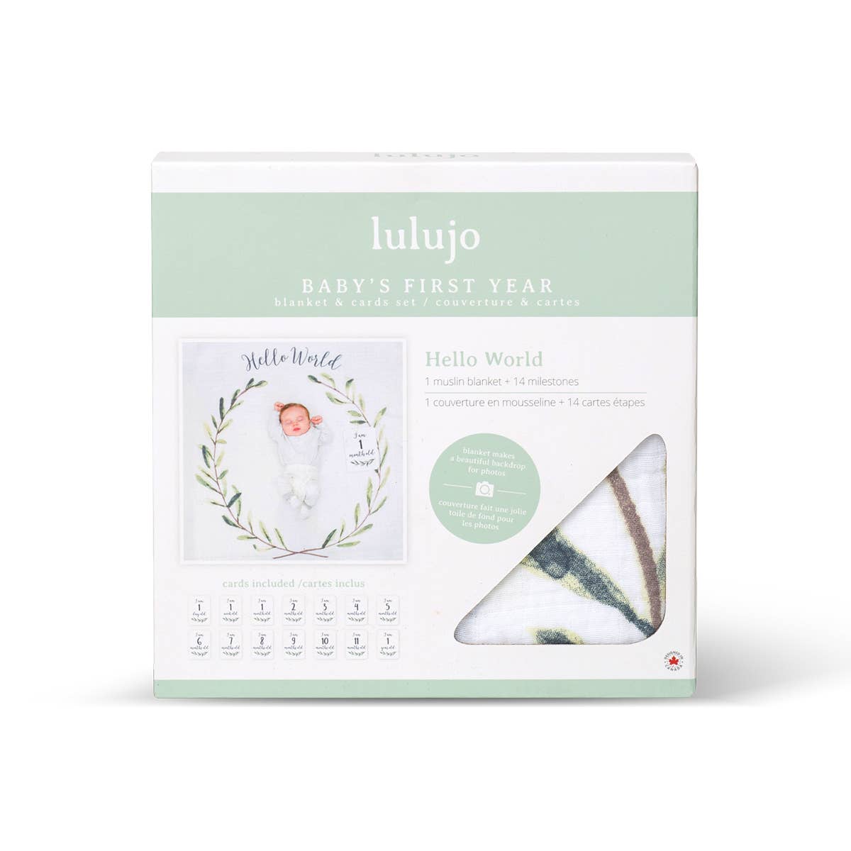 HELLO WORLD- BABY'S 1ST YEAR SWADDLE BLANKET & MILESTONE CARD SET